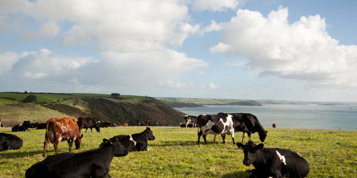 3 deeply rural ag landscape