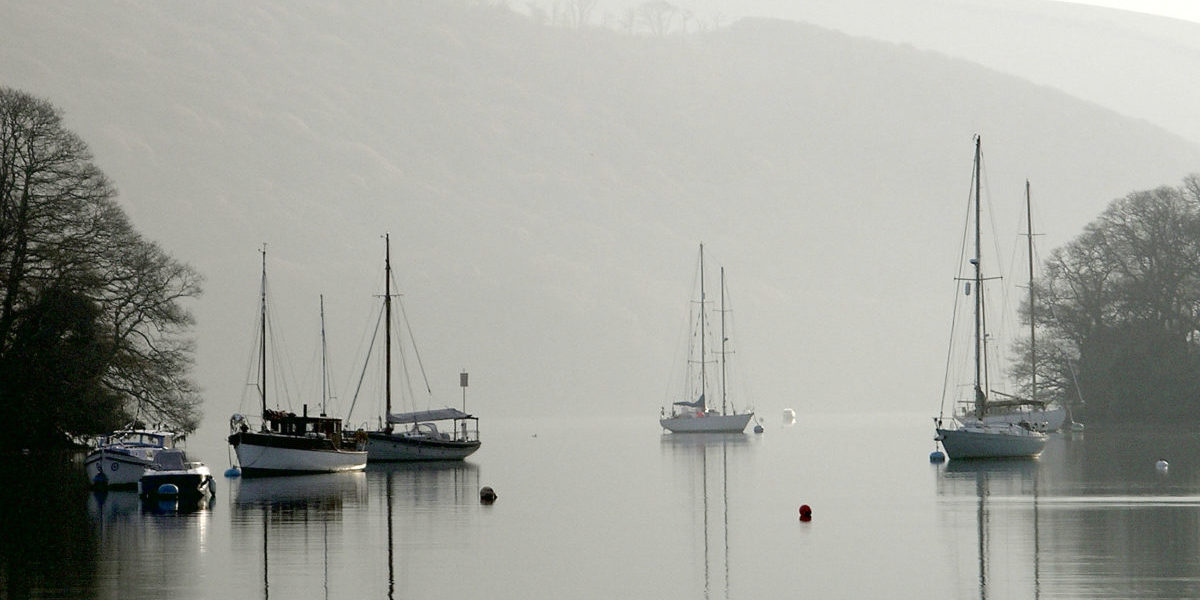 Wild_Dittisham-timtaylor-50.381736705242645--3.595254421234131-1 Wild_Dittisham-timtaylor-50.381736705242645--3.595254421234131-1