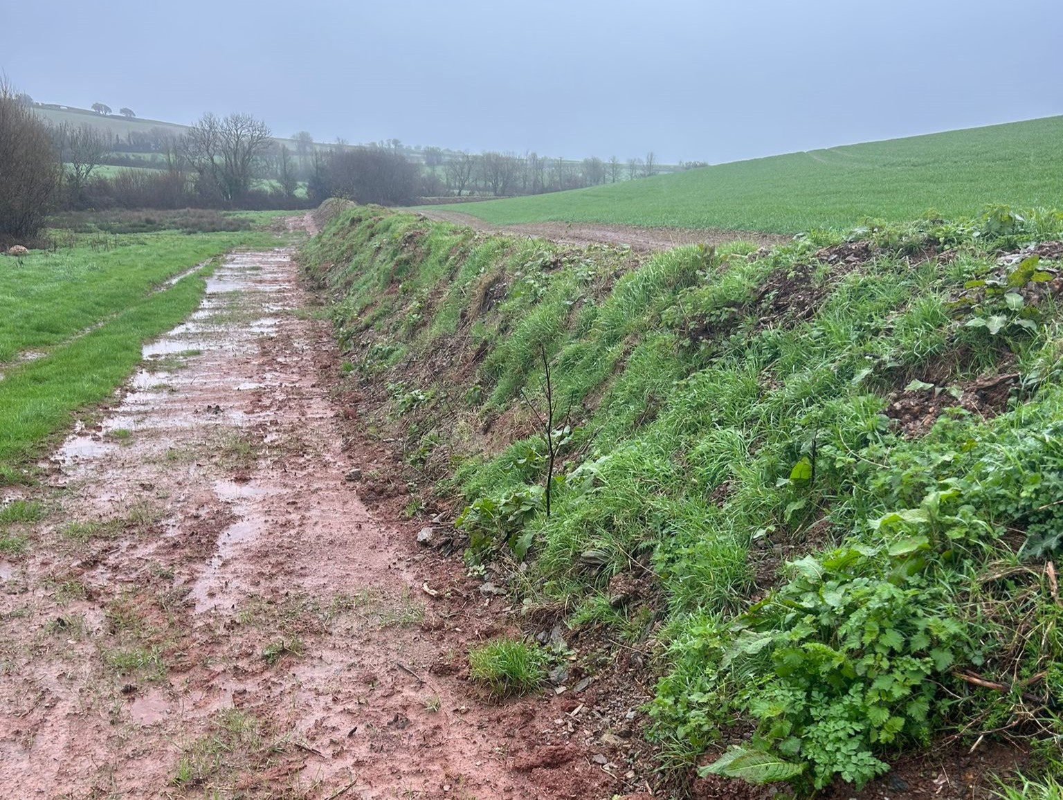 Earth works and bank creation at Court Barton Farm