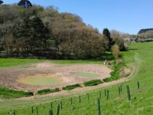 SDevon148 Clarke wetland resized