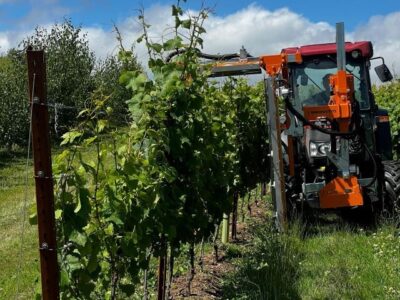 SDevon171 Fosburg strimmer a resized