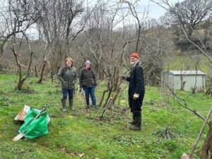 SDevon179 Plum project resized