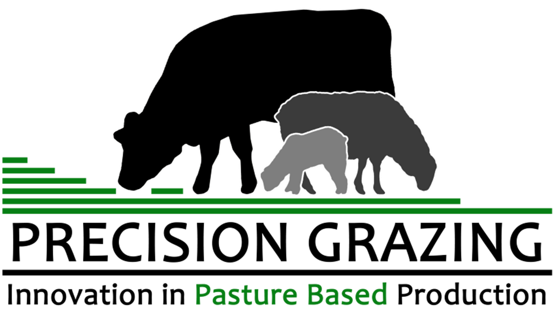 Precision Grazing Logo 'innovation in pasture based production'.