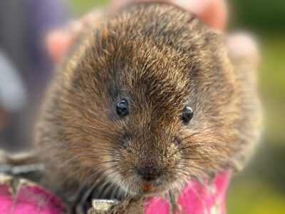 SDevon186 Sue Hadow a resized