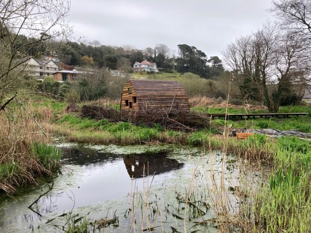 Bird hide next to pond