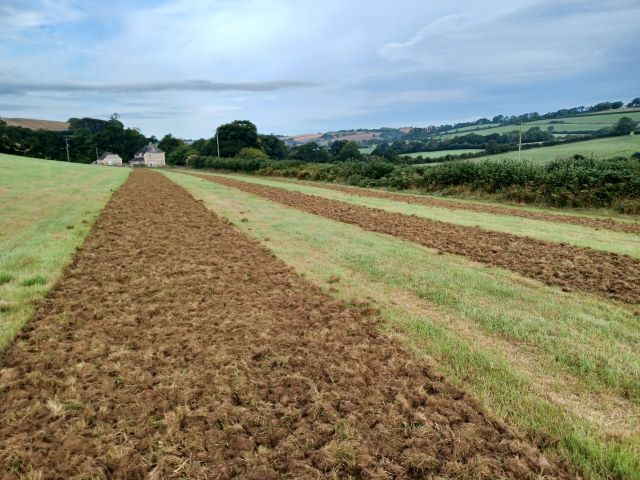 SDevon236 Pemberton b resized