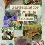 Image of the front cover to a Gardening for Wildlife Brochure with images of insects, birds, toad and hedgehog