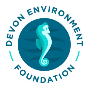 Logo for the Devon Environment Foundation - seahorse drawing