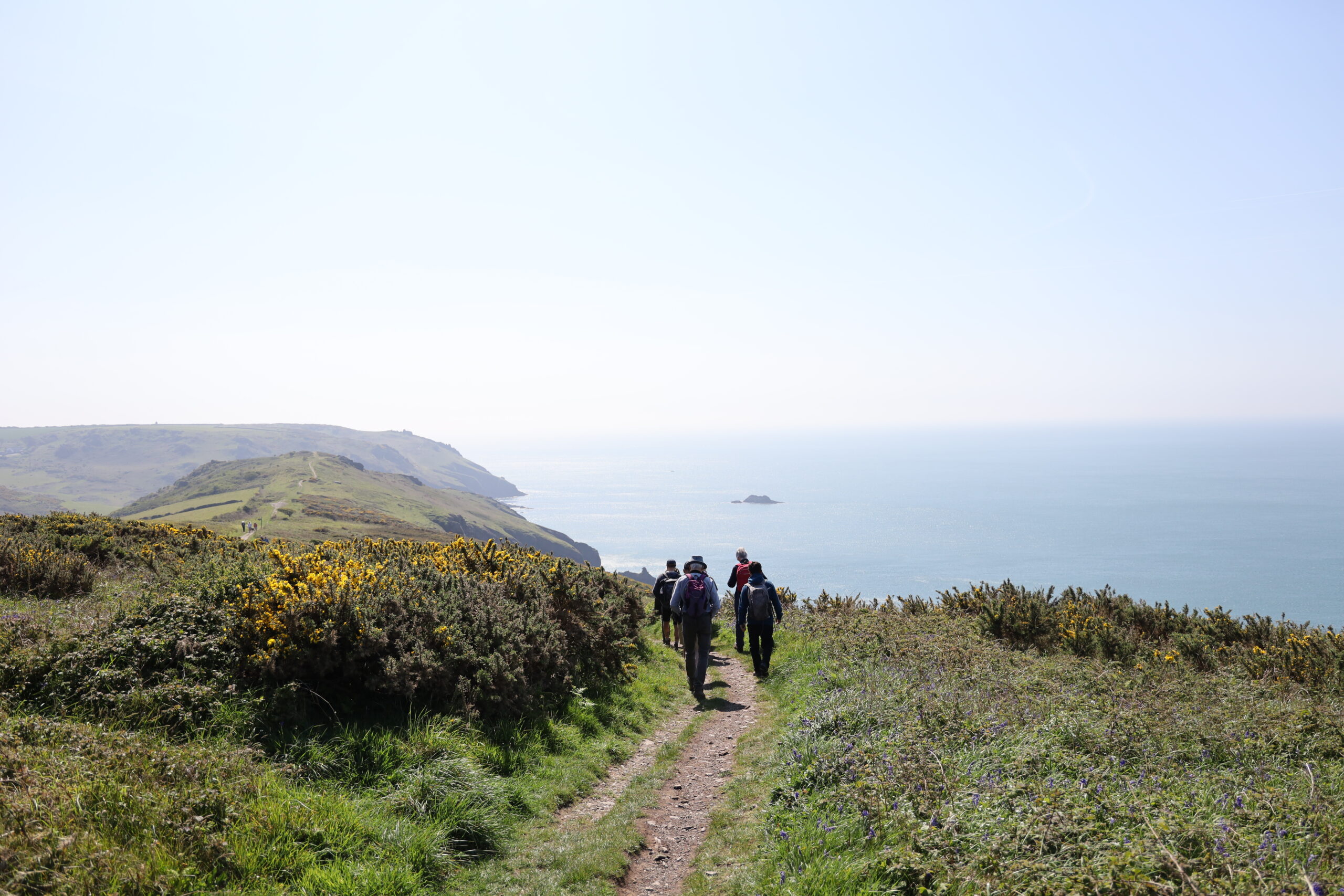 A group of people walking across a grassy cliff and looking out to sea.
