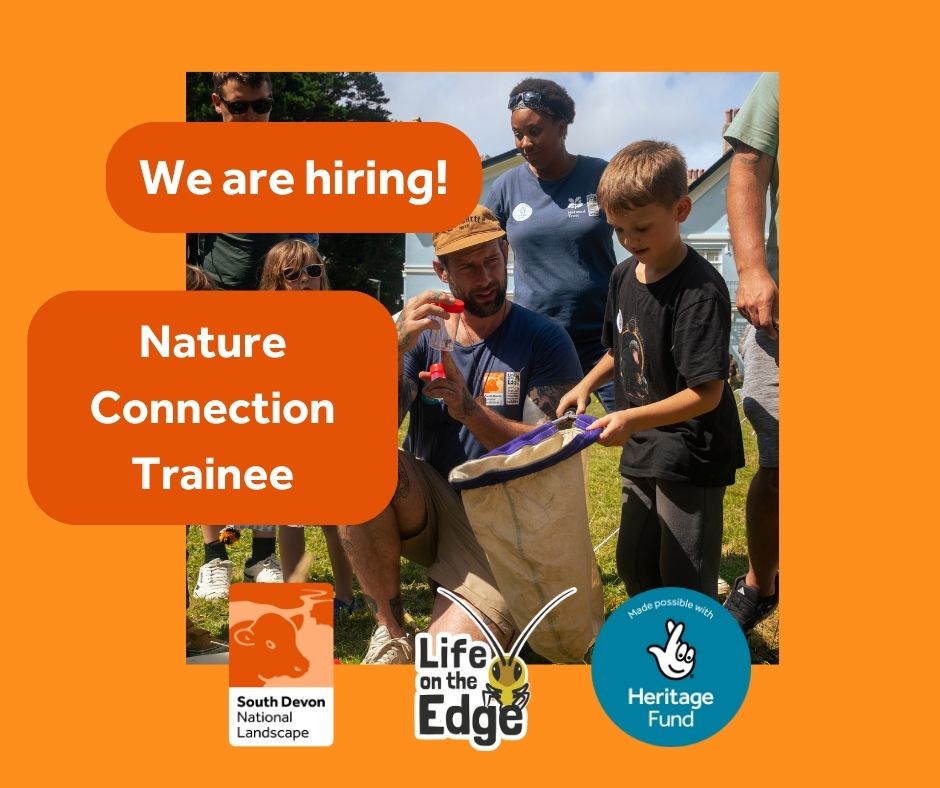 Image of poster advertising Nature Connection trainee role including photo of a child with a bug net with a LotE trainee and a LotE apprentice
