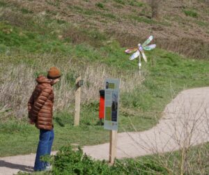 A person looks at a sign along the coast path and art trail.