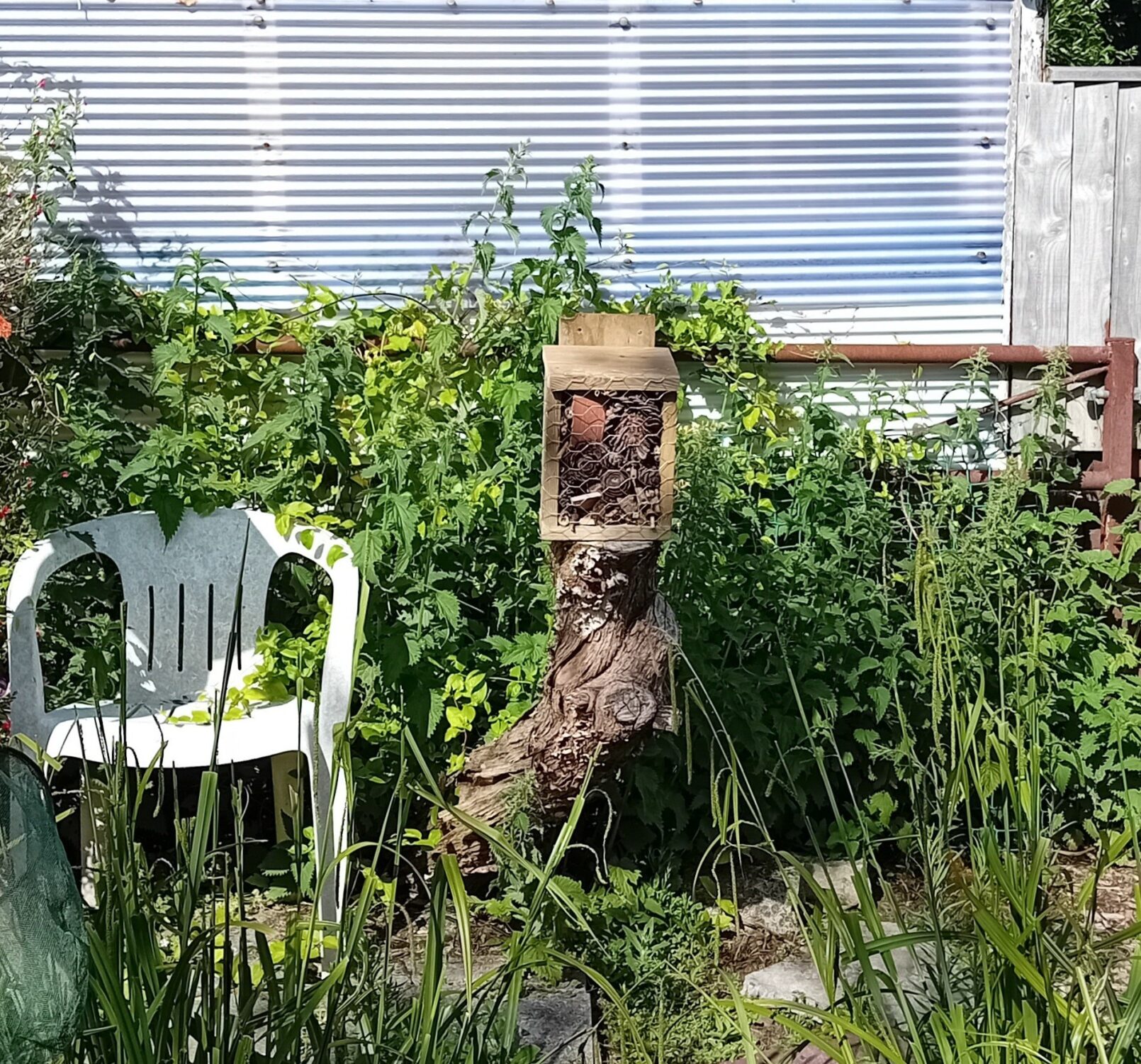 Photo of a homemade bug house in a garden in the sun.