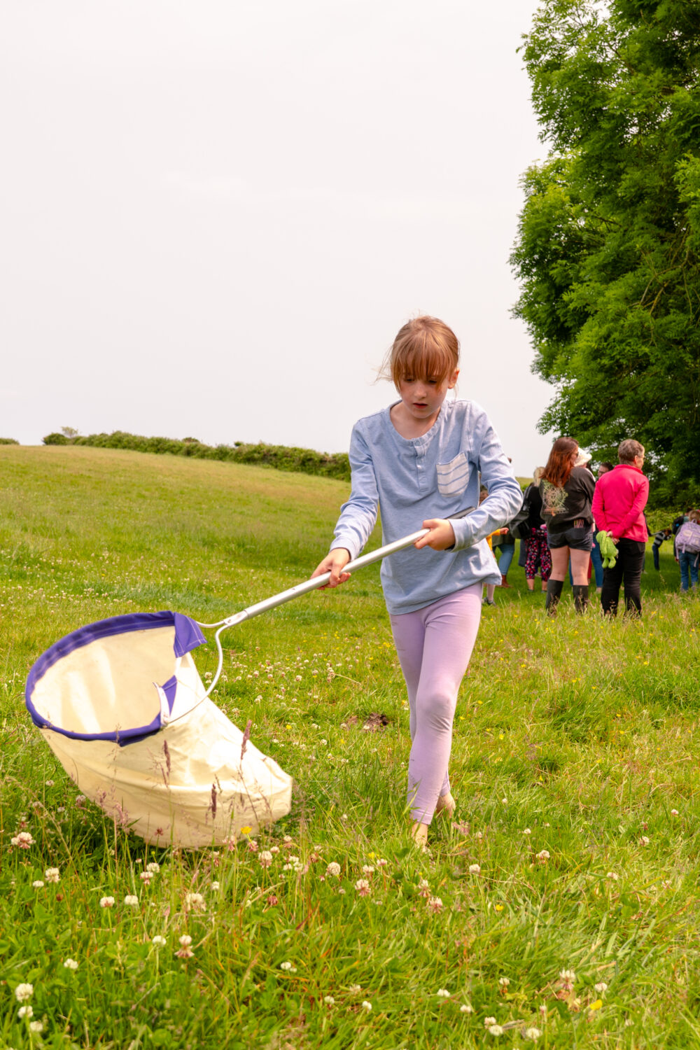 Image of a child using a net to catch insects in a meadow.