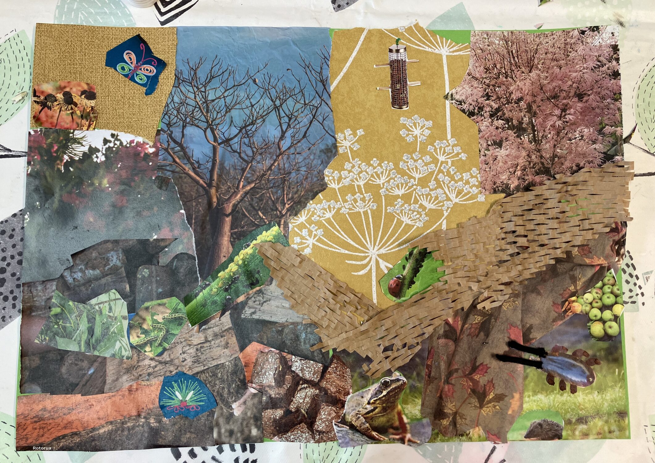 A collage of many different plants and insects.
